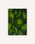 Mossmagic Notebook – A5